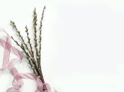 Вербова гілочка — символ свята