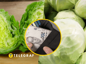 Цены на старую и молодую капусту 2025