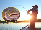 Коллаж, "Телеграф"