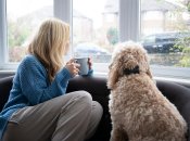 Дівчина з собакою