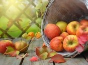 Фото: pixabay.com