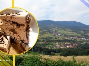 Ілюстративне фото