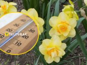 Погода в Украине