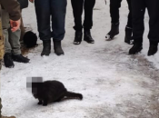 СБУ скрыла морду кота, который попал на фото