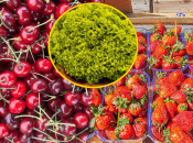 На вас чекає живе спілкування та якісні товари