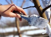 Біління дерев