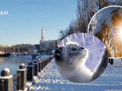 Погода в Украине