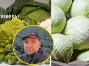 Павел Булгаков