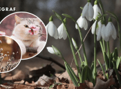 Погода в марте