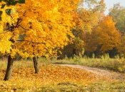 Погода в Україні в жовтні