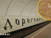 Метро "Дорогожичи"