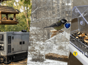 Подарунки, які птахи нібито приносять українцям