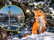 Погода у Києві