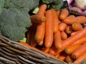 Брокколи и морковь – холодоустойчивые культуры