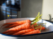 Ни один корнеплод не пропадет