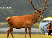 Унікальна знахідка