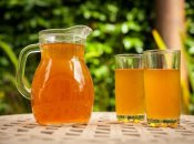 Як приготувати напій з чайного гриба