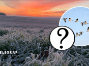 Похолодання