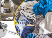 Гору речей можна погладити без праски