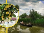 Ілюстративне фото