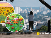 Погода в Украине