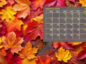 В октябре у украинцев не будет дополнительных выходных