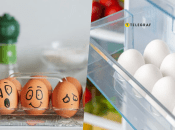 Як зберігати яйця