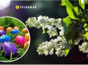 Погода в апреле