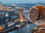 Лиса в Харькове