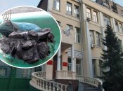 Особняк Вюрглера или дом с лягушками