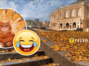 Мемы об осени и похолодании