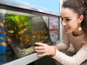 У оголосила новий тендер