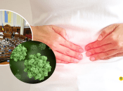 Норовирус и Верховная Рада