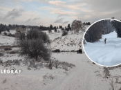 Косуля в Київській області