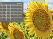 Календар свят на липень 2025