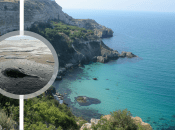 Мазут в Криму