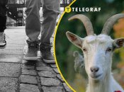 Чоловіки вигулювали кіз