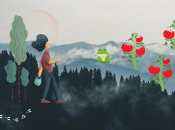 І помідори збирати, і жаб колотити