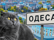 Погода в Одессе