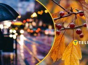 Колаж "Телеграфу"