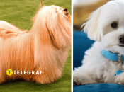 Иллюстративное фото