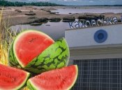 Колаж "Телеграфу"