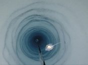 Ученые нашли странную форму жизни под плавучими ледниками (видео)