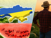 Выращивание арбузов в Украине