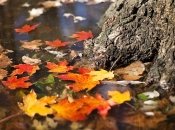 Какой будет погода в Украине в октябре