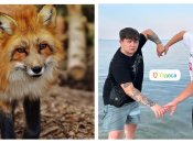 Міша Лебіга з’їздив на море у справах