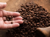 Кофе поможет укрепить растения