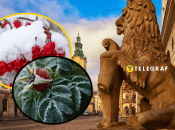 Погода у травні