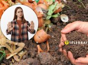 Как получить натуральную подкормку для растений