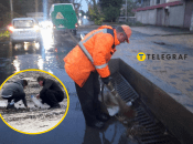 Коммунальщики убирают в Одессе после непогоды